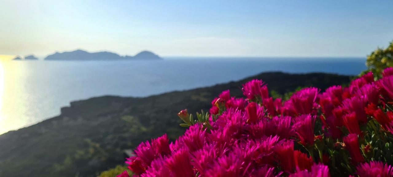 Guest House Villa Il Gabbiano Ponza Luaran gambar